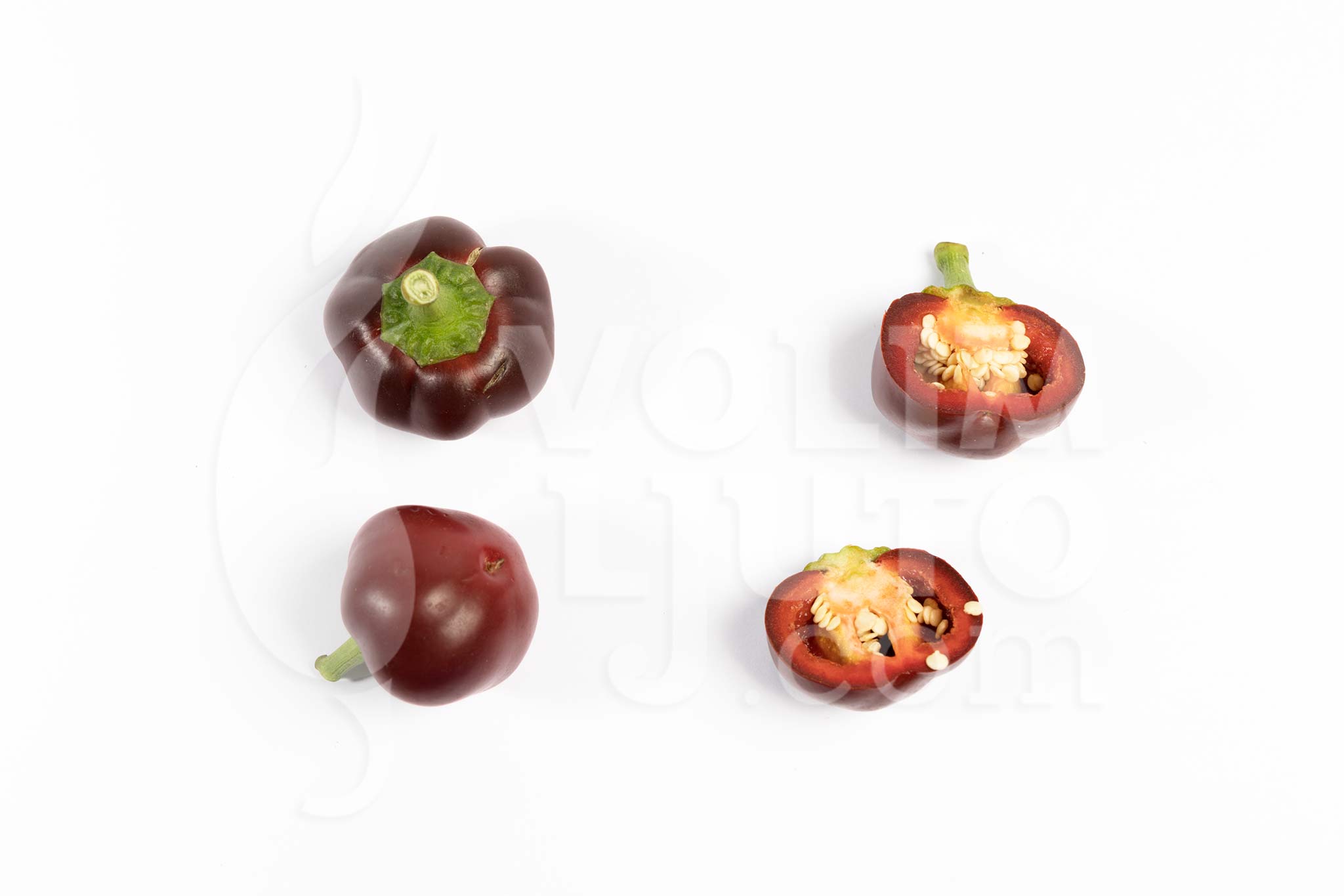 Chocolate Cherry Bomb - Sjemenke chili papričica 6 Chocolate cherry bomb - ILikeItHot.eu