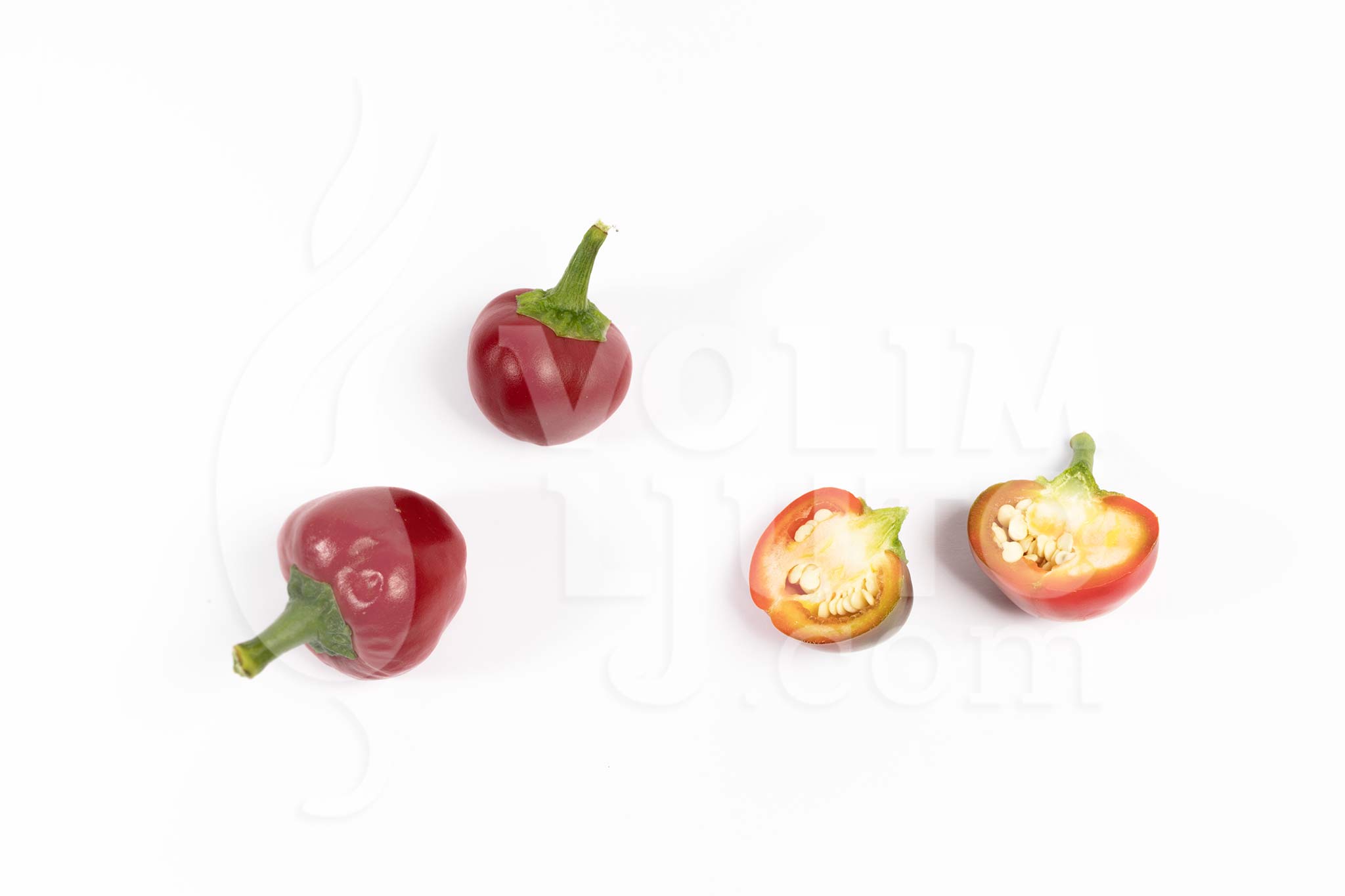 Tondo Picante Calabrese - Sjemenke chili papričica 5 Tondo picante calabrese - ILikeItHot.eu