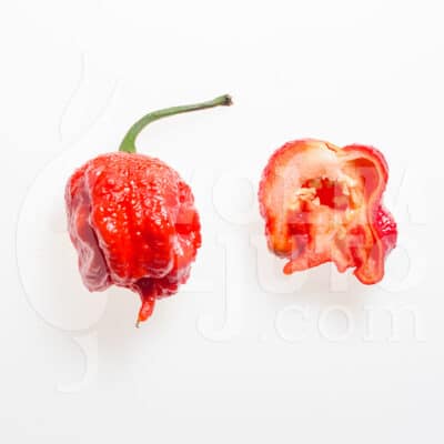 Carolina Reaper - bivša najljuća papričica na svijetu - Sjemenke 8 Carolina Reaper - volimljuto.live