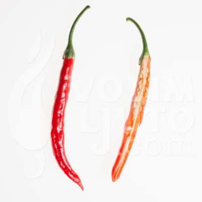 Cayenne - Sjemenke chili papričica 11 Cayenne - volimljuto.live