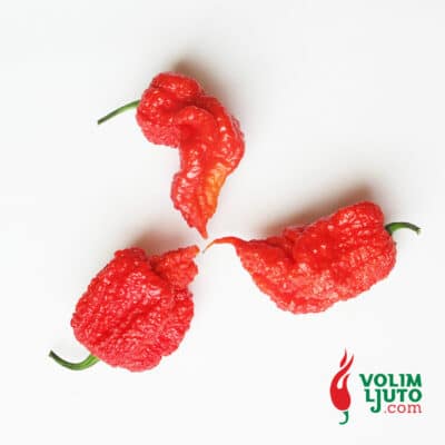 Carolina Reaper - bivša najljuća papričica na svijetu - Sjemenke 10 Carolina Reaper - bivša najljuća papričica na svijetu - Sjemenke - Slika 5