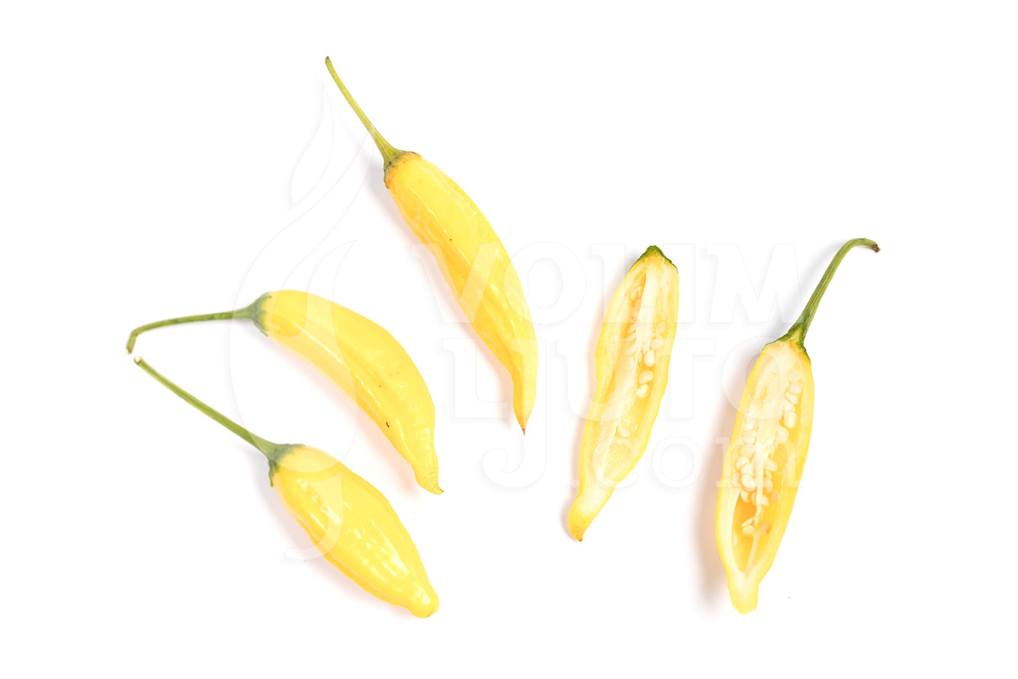 Aji Pineapple - Sjemenke chili papričica 5 Aji Pineapple - volimljuto.live