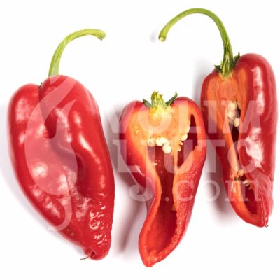 Poblano - Sjemenke chili papričica 7 Ancho_poblano-VolimLjuto
