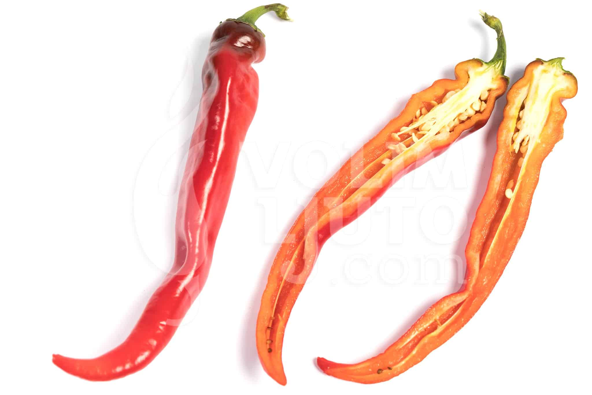 Hot Portugal - Sjemenke chili papričica 8 Hot portugal - ILikeItHot.eu