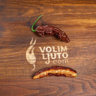 Bhut Jolokia Chocolate - Sjemenke chili papričica 9 Bhut Jolokia Chocolate - Sjemenke chili papričica - Slika 4