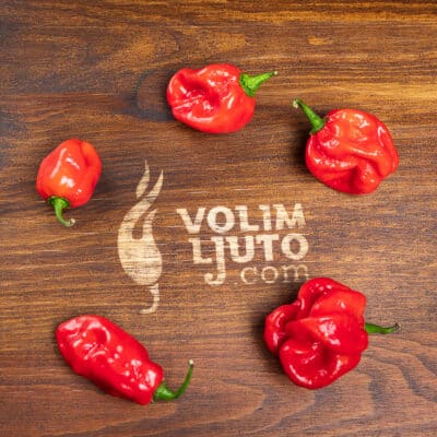 Habanero Red - Sjemenke chili papričica 8 Habanero Red - Sjemenke chili papričica - Slika 3