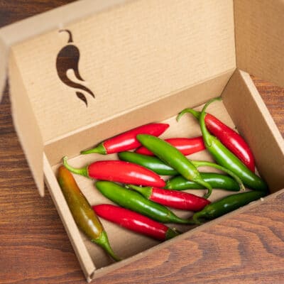 Serrano - Sjemenke chili papričica 9 Serrano - Sjemenke chili papričica - Slika 4