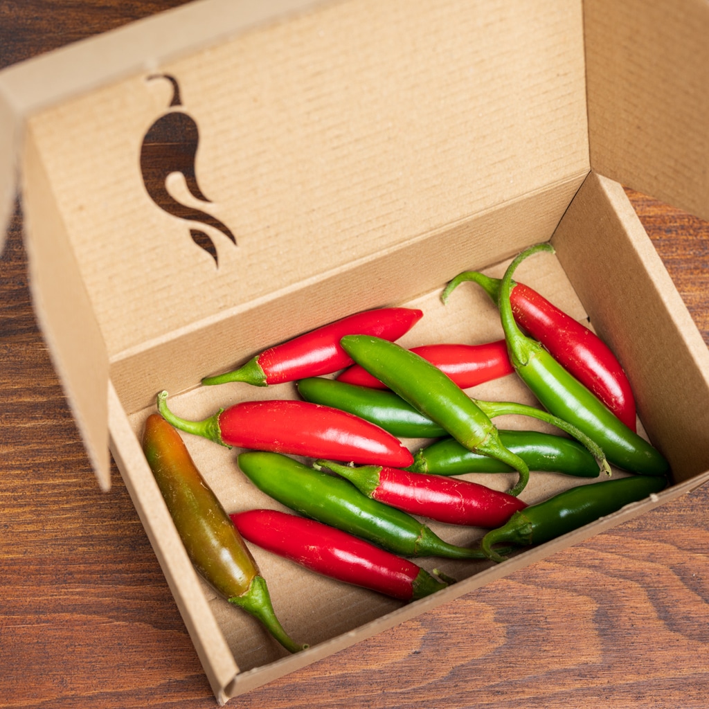 Serrano - Sjemenke chili papričica 6 Serrano - Sjemenke chili papričica - Slika 4