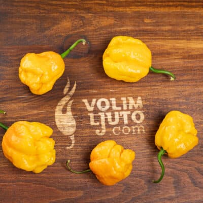 Trinidad Scorpion Yellow - Sjemenke chili papričica 8 Trinidad Scorpion Yellow - Sjemenke chili papričica - Slika 3