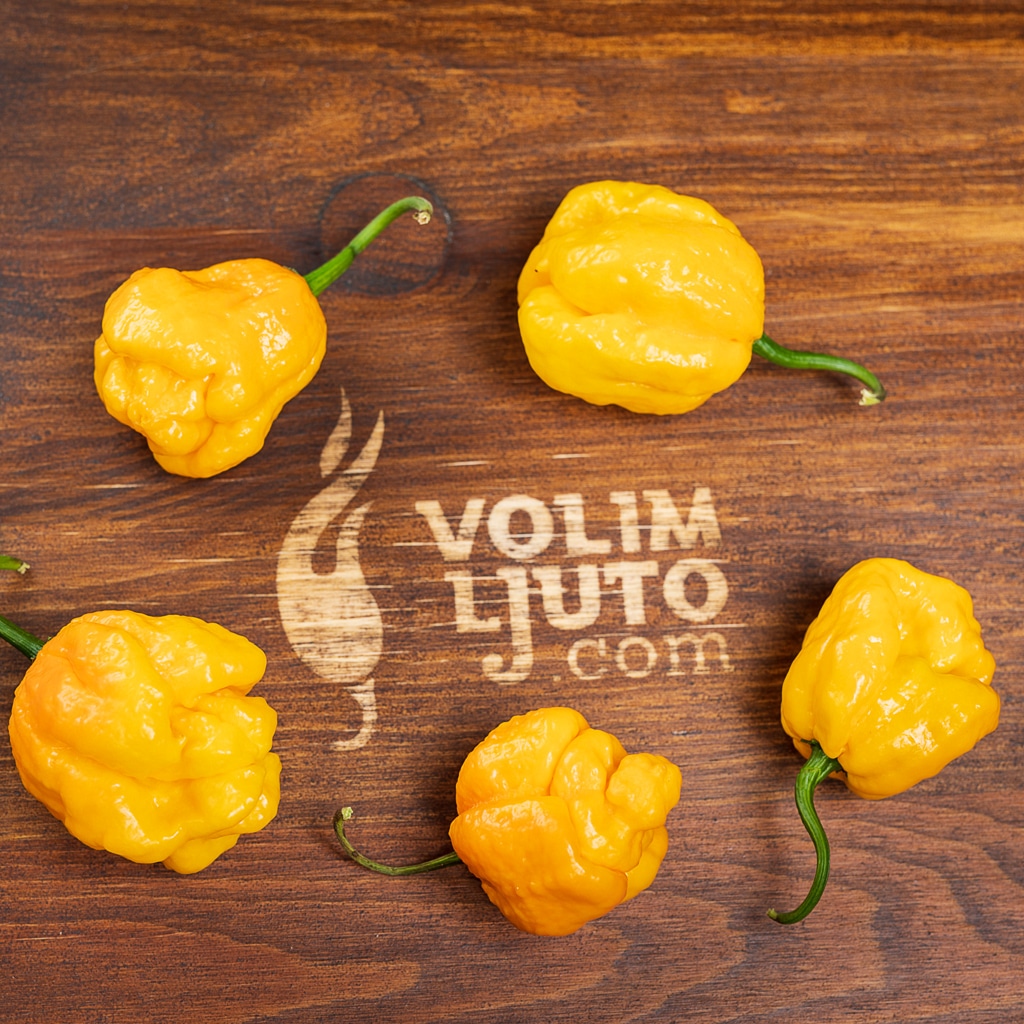 Trinidad Scorpion Yellow - Sjemenke chili papričica 5 Trinidad Scorpion Yellow - Sjemenke chili papričica - Slika 3