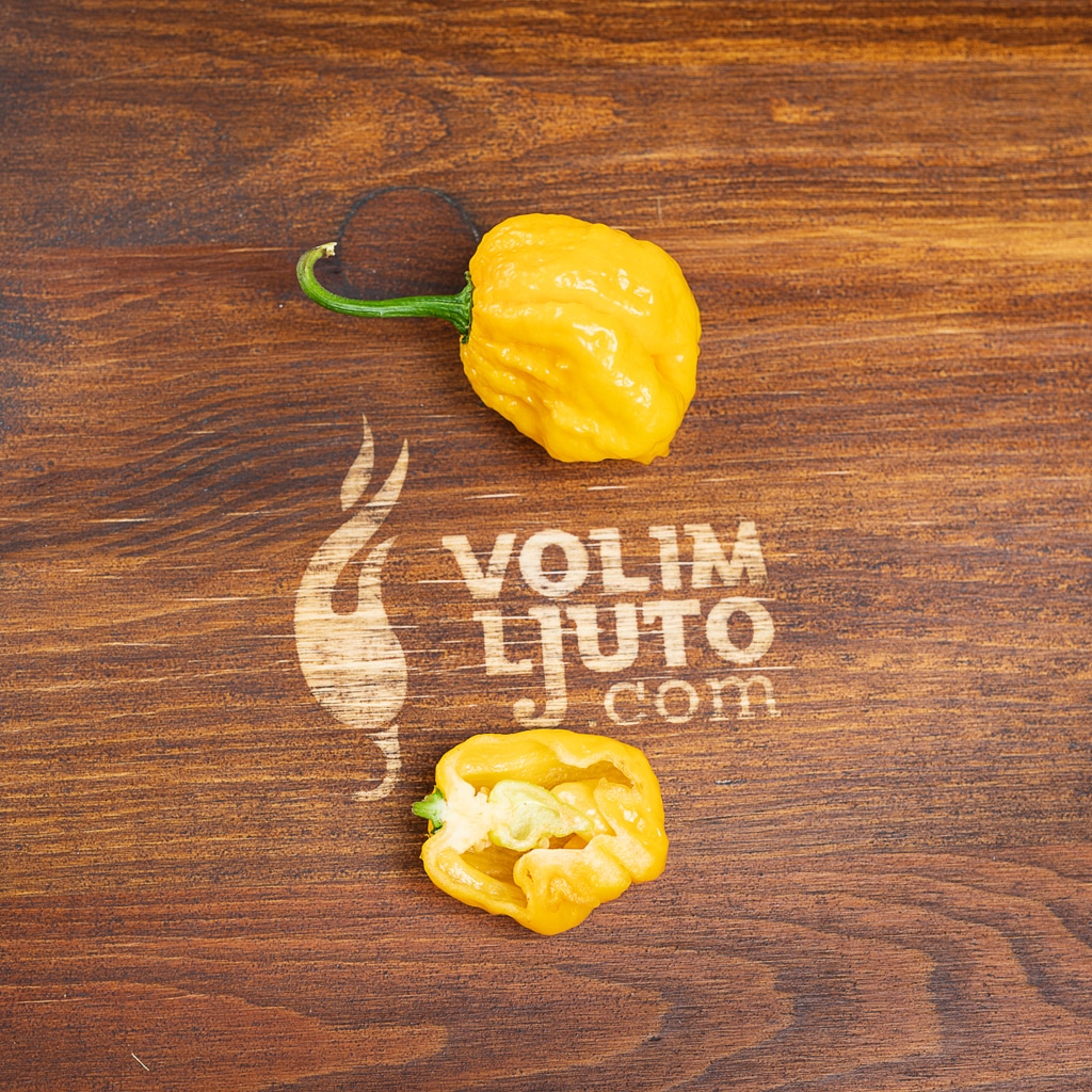 Trinidad Scorpion Yellow - Sjemenke chili papričica 6 Trinidad Scorpion Yellow - Sjemenke chili papričica - Slika 4