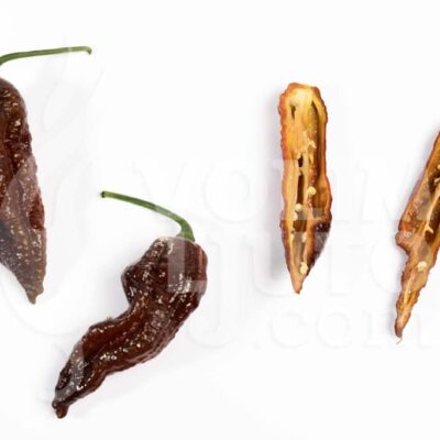 Bhut Jolokia Chocolate - Sjemenke chili papričica 8 Bhut Jolokia Chocolate - Sjemenke chili papričica - Slika 3