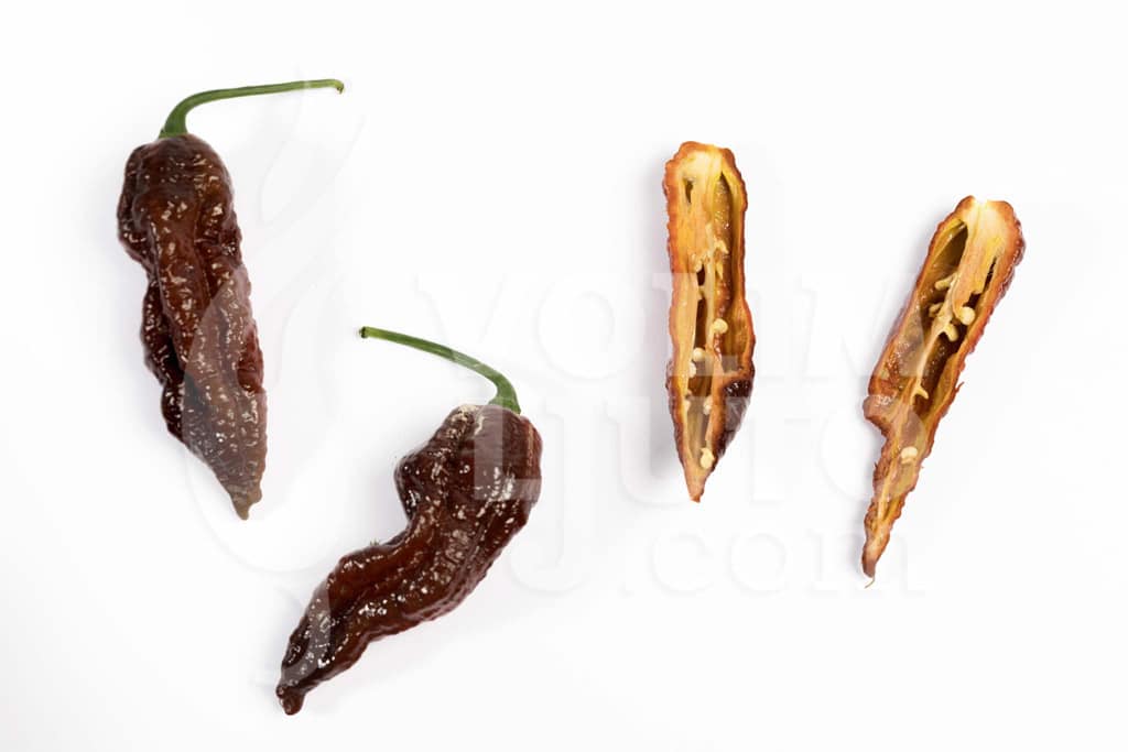 Bhut Jolokia Chocolate - Sjemenke chili papričica 5 Bhut Jolokia Chocolate - Sjemenke chili papričica - Slika 3
