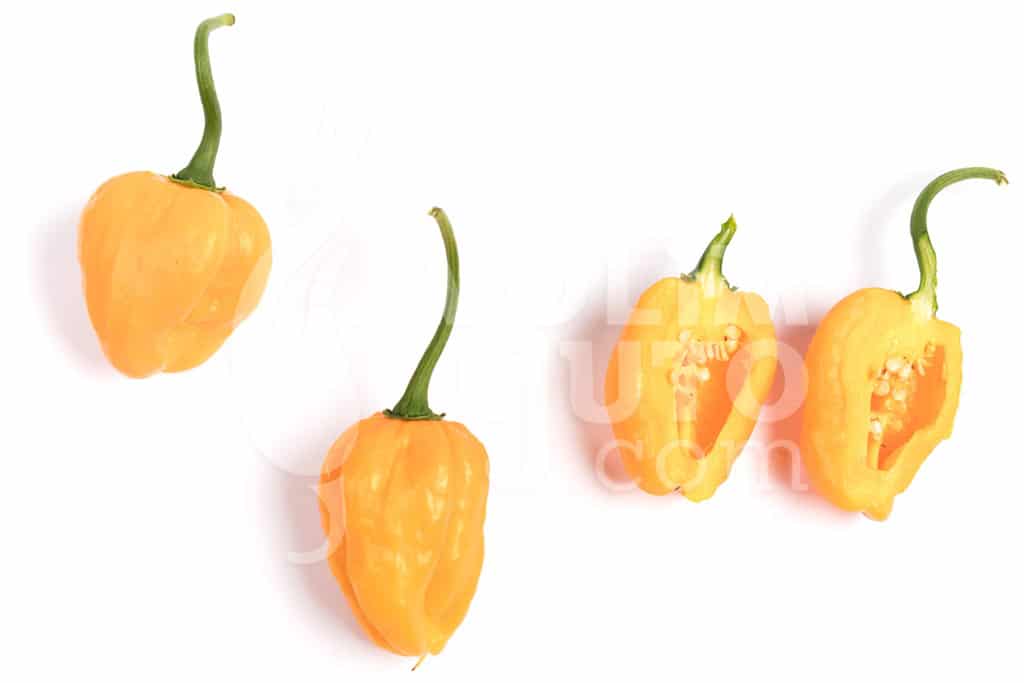 Scotch Bonnet Yellow - Sjemenke chili papričica 5 Scotch Bonnet Yellow - Sjemenke chili papričica - Slika 3