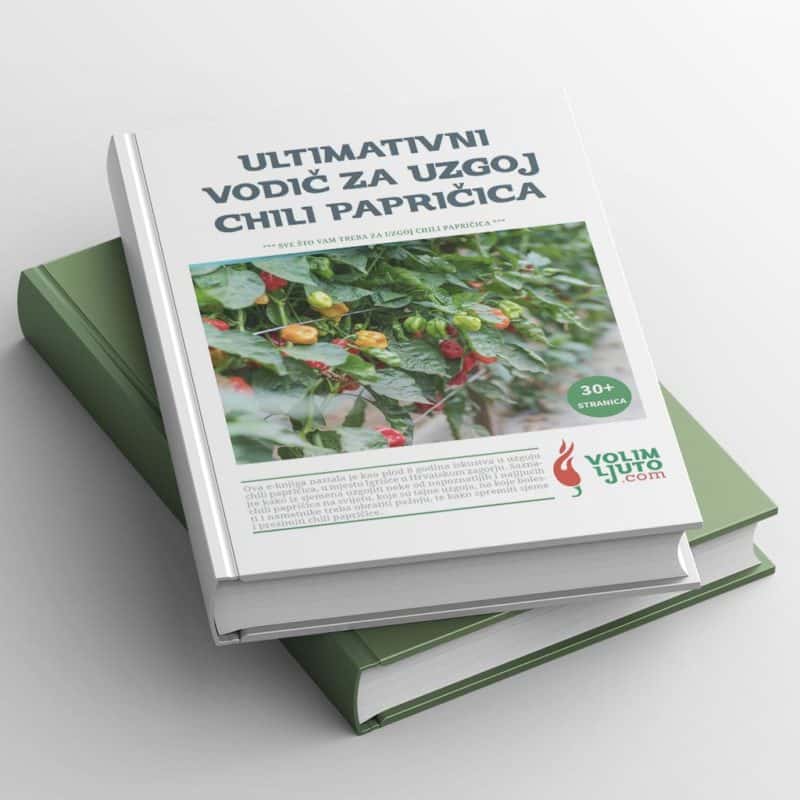 Ultimativni vodič za uzgoj chili papričica