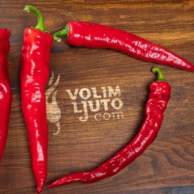 Hot Portugal - Sjemenke chili papričica 11 Hot Portugal - svježe papričice 1500g