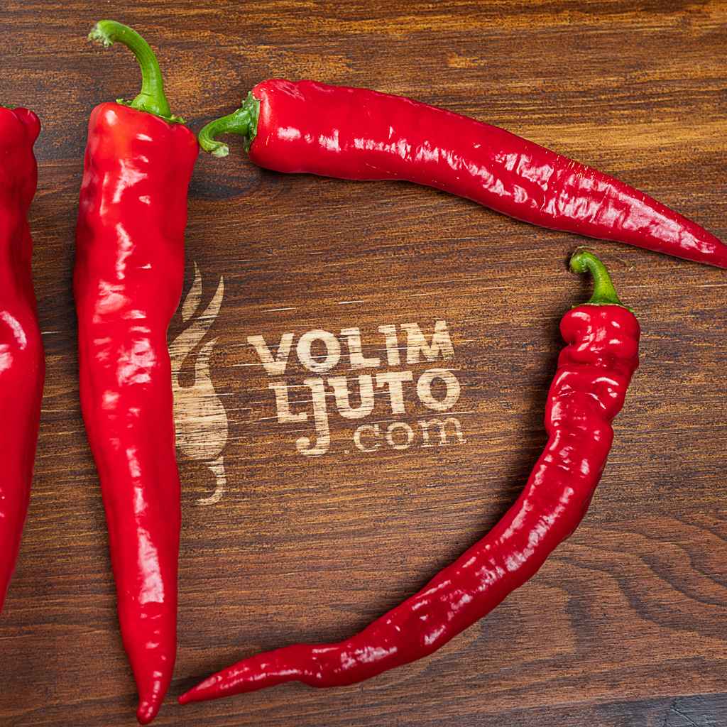 Hot Portugal - Sjemenke chili papričica 6 Hot Portugal - svježe papričice 1500g