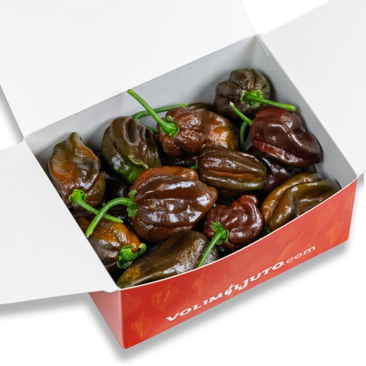 Habanero Chocolate - svježe chili papričice 200g 3 Habanero Chocolate - svježe chili papričice 200g