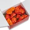 Habanero Red - svježe chili papričice 200g 2 Habanero Red - svježe chili papričice 200g