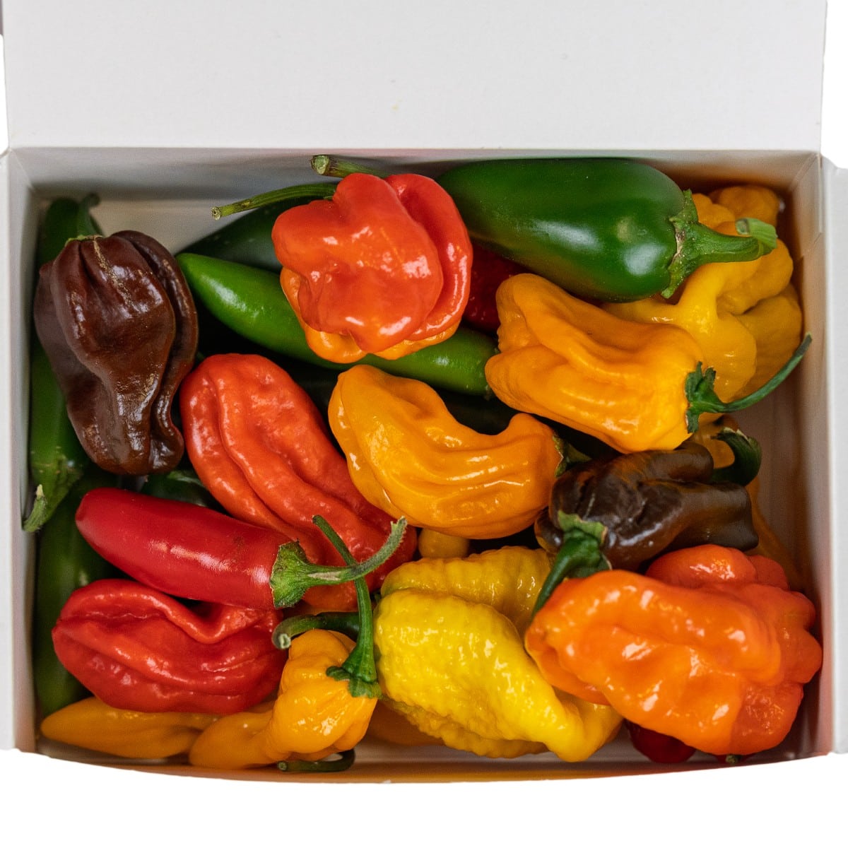 Ljuti mix - svježe chili papričice 250g 4 Ljuti mix - svježe chili papričice 250g