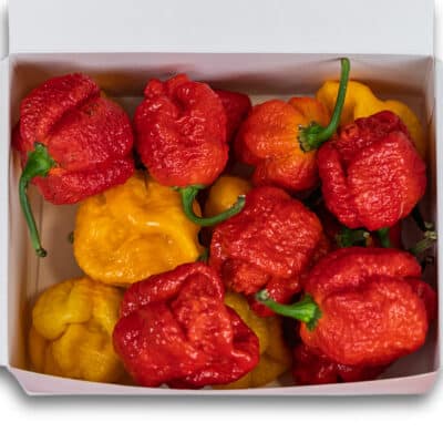 The Burger - recept za savršen burger 31 Trinidad Scorpion Mix (Moruga + Yellow) - svježe chili papričice 160g