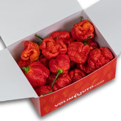 The Burger - recept za savršen burger 20 Trinidad Scorpion Moruga - svježe chili papričice 160g