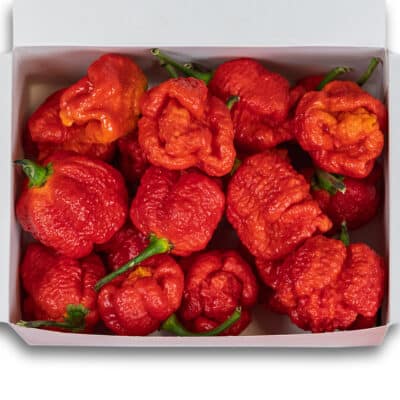 The Burger - recept za savršen burger 21 Trinidad Scorpion Moruga - svježe chili papričice 160g
