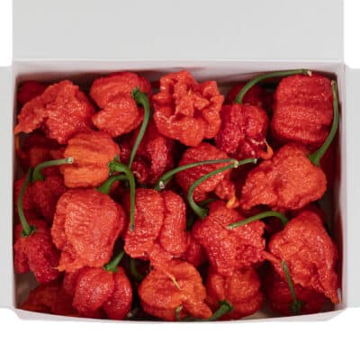 Carolina Reaper - svježe chili papričice 150g