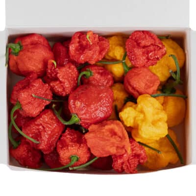 The Burger - recept za savršen burger 19 Ultra Ljuti Mix (Trinidad Scorpion Moruga + Trinidad Scorpion Yellow + Carolina Reaper) - svježe chili papričice 160g